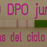 Nuevo buscadoras con síndrome de ovario poliquístico (sop) - 3