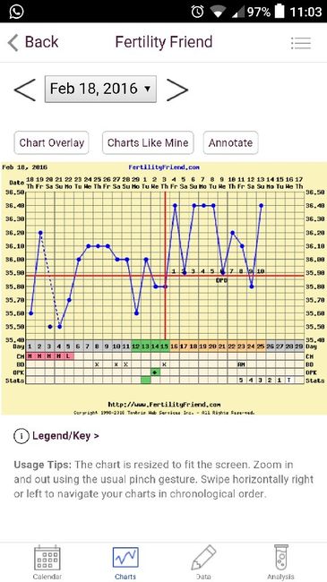 Decálogo de las gráficas de temperatura basal - 1