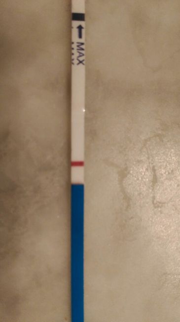Decálogo de las gráficas de temperatura basal - 2