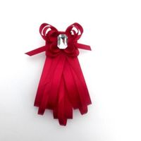Complementos para nuestros futuros maridos!!! - 18