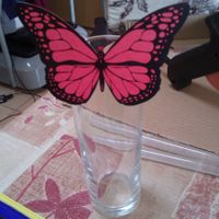 mariposas
