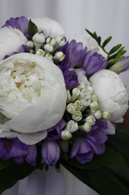 peonias
