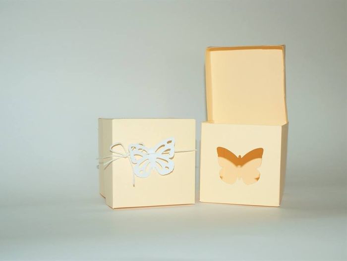 Cajitas mariposas