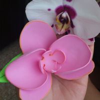 Marca sitio Orquídea 01