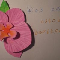 Marca sitio Orquídea 04
