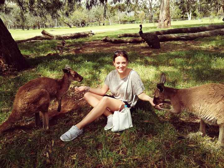 Luna de miel a Australia - 1