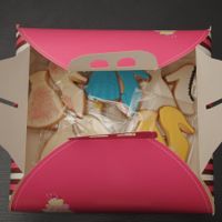 Caja de Galletas