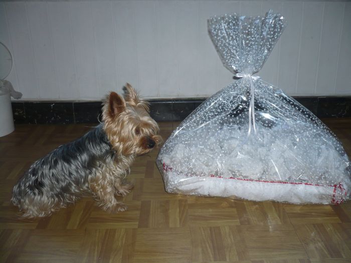 CESTA PARA EL ARROZ