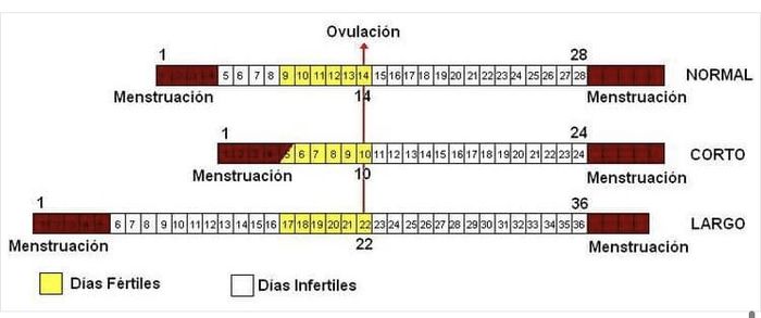 Buscadoras Marzo 2021 💪💘👶🏻 11