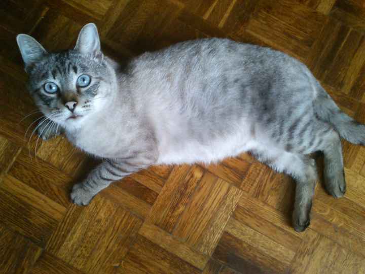 se llama oscar