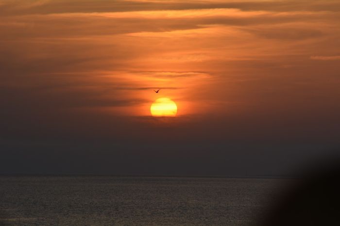 Luna de miel Menorca??? 1