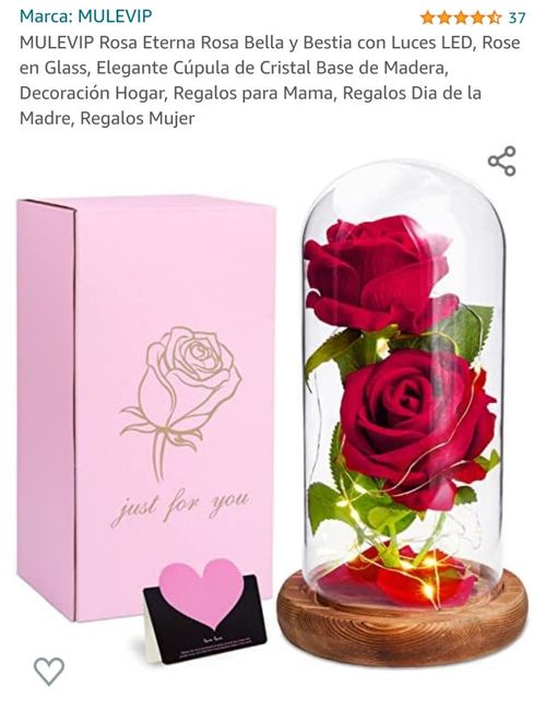 Flores eternas 1