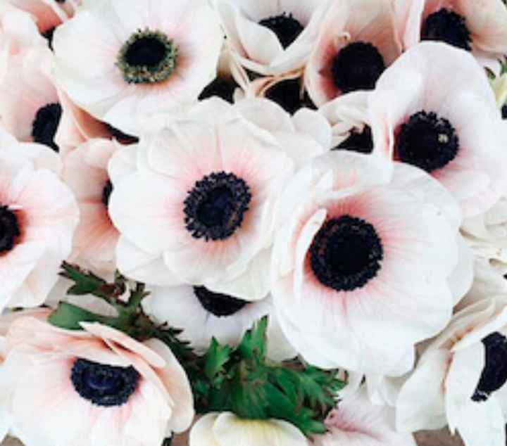Flores - 3