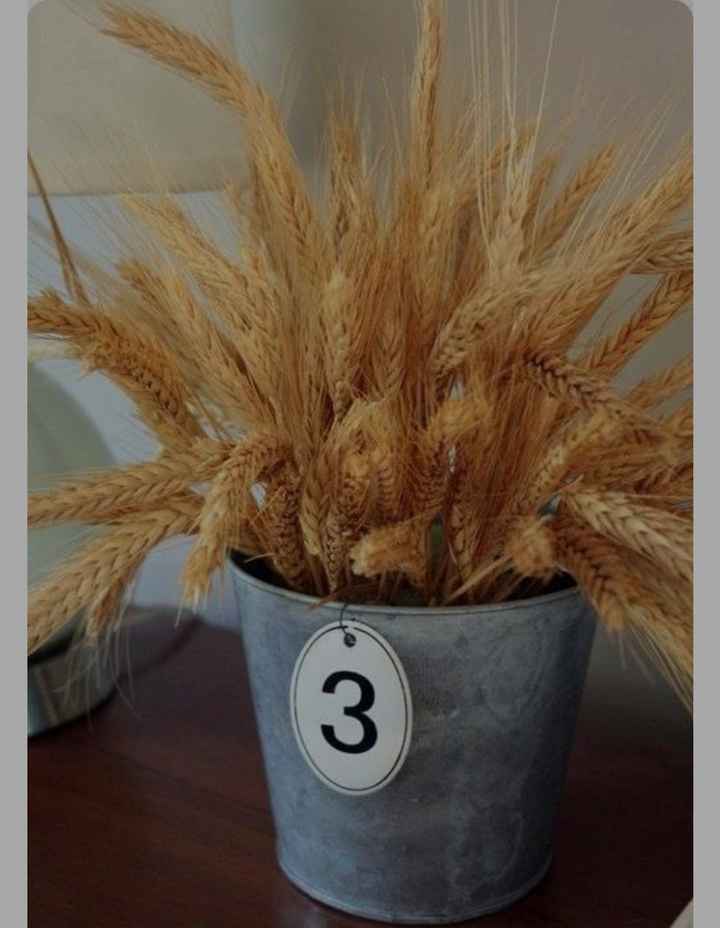 Muy pérdida.. 🤦‍♀️ - 10