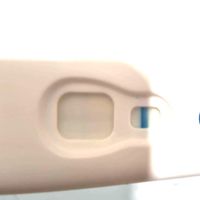 💚Buscadoras Octubre 2021 💚 - 1