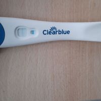 Buscadoras de Mayo 2020 - 4