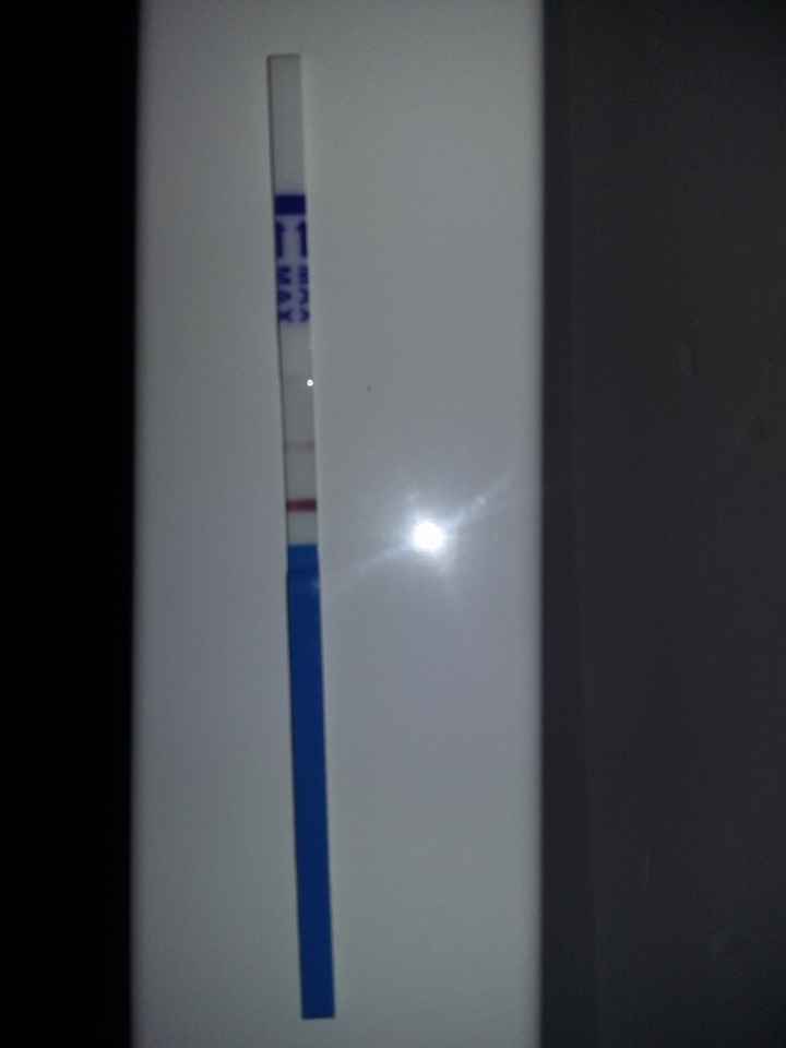 test embarazo de esta mañana