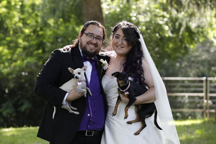 📸Nuestra Postboda (con varitas y perritas) - 3