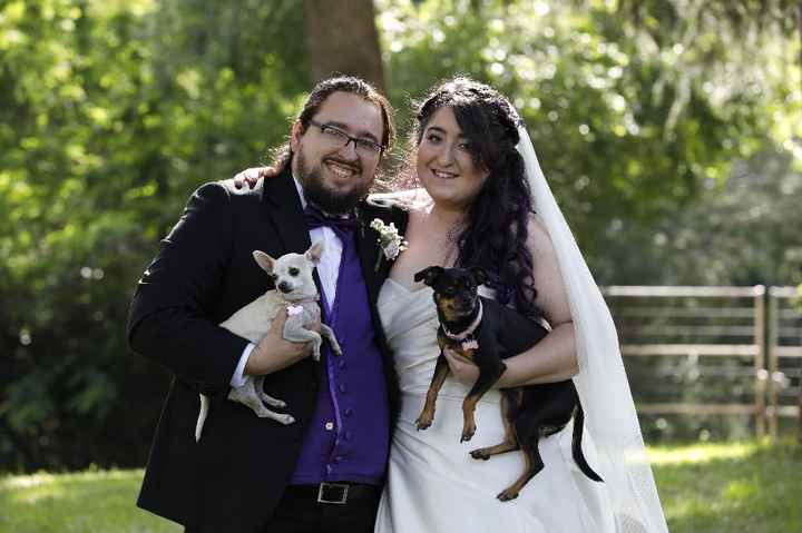 📸Nuestra Postboda (con varitas y perritas) - 3