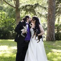 📸Nuestra Postboda (con varitas y perritas) - 4