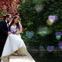 📸Nuestra Postboda (con varitas y perritas) - 5