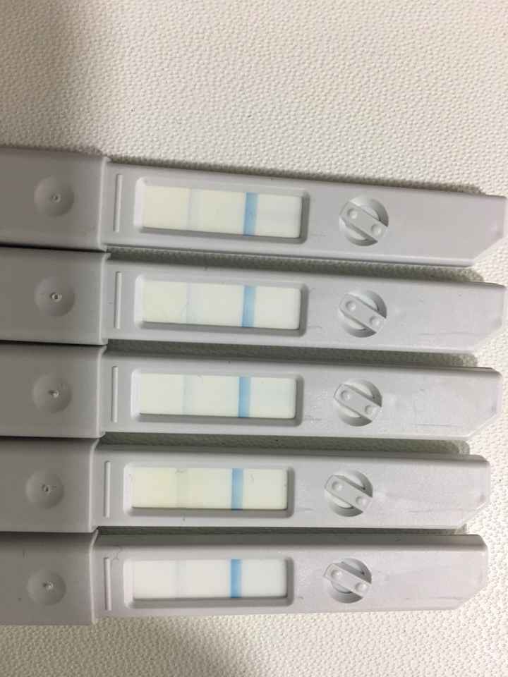  Dudas test de ovulación clearblue? - 1