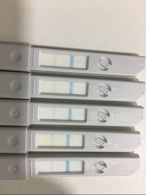 Dudas test de ovulación clearblue? 1