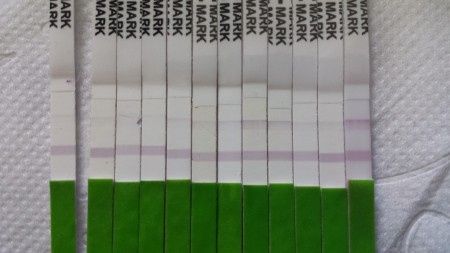 Buscadoras ( Semana del 6 al 11 de Mayo) - 1