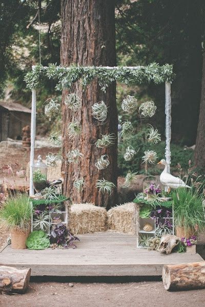 decoracion campestre