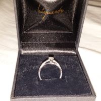 Pongamos todas nuestro anillo de compromiso - 1