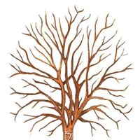 arbol huellas