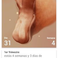 Futuras mamas octubre 2020 - 1