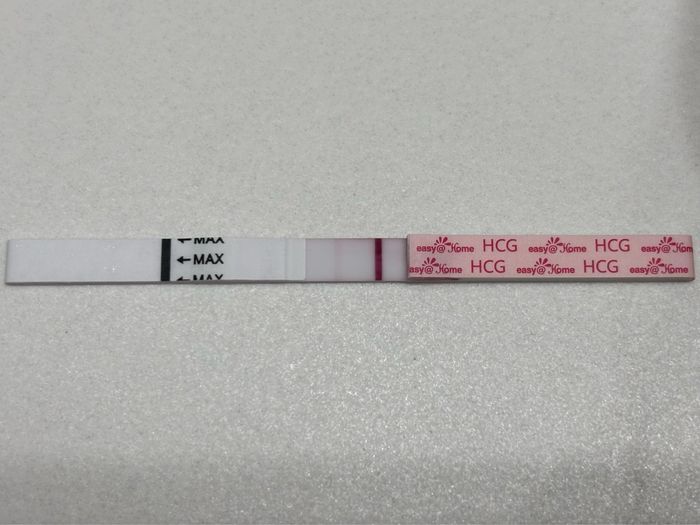 Buscadoras febrero 👑🥐👑🥐👑🥐 - 1