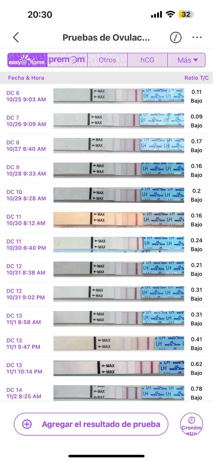 Buscadoras Enero 👑🥐👑🥐👑🥐 - 1
