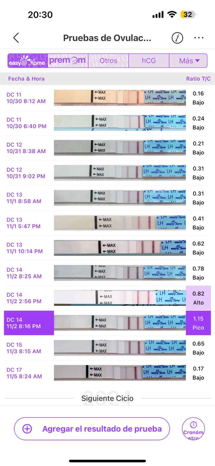 Buscadoras Enero 👑🥐👑🥐👑🥐 - 2