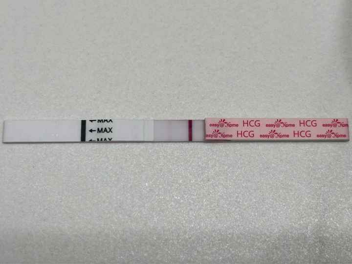 Buscadoras febrero 👑🥐👑🥐👑🥐 - 1