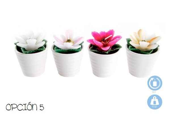 Opcion5