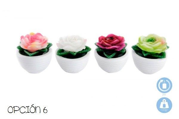 Opcion 6