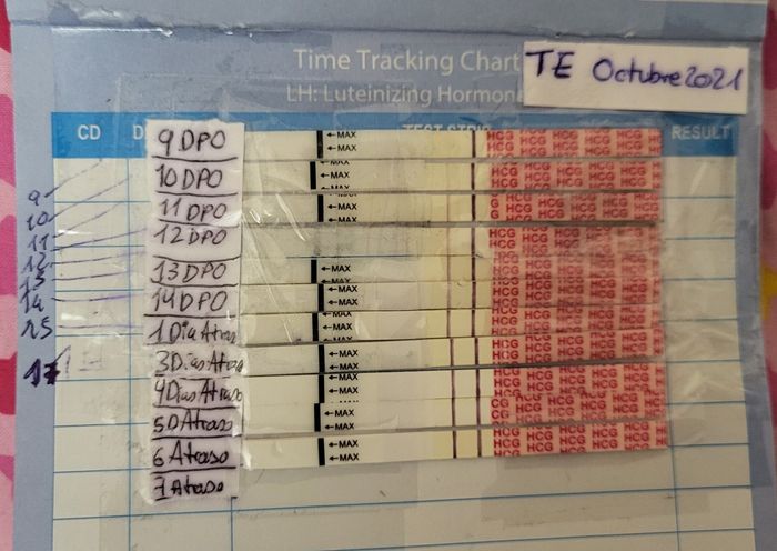 ✨️🤍 Buscadoras Octubre 🤍✨️ - 1