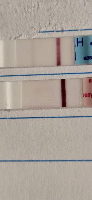 Buscadoras Febrero! - 1