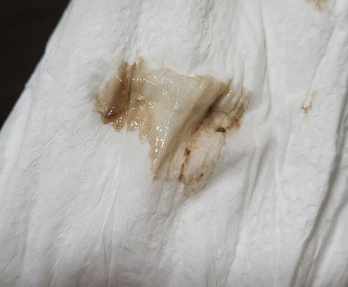 Buscadoras Febrero! - 1