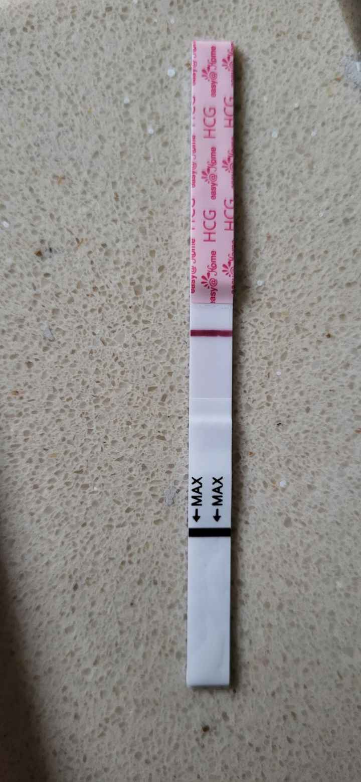 ❄️🎅🏻🎄 Buscadoras Diciembre 2025☃️🎁 ❄️ - 1