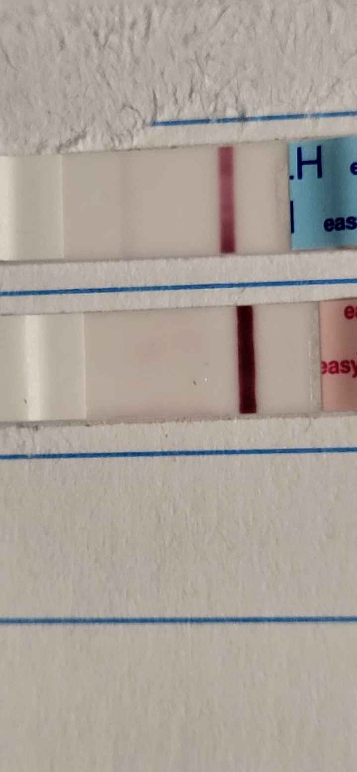 Buscadoras Febrero! - 1