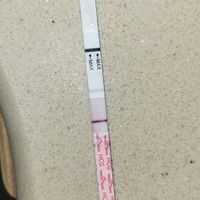 🍁🦃🍇 Buscadoras Noviembre 2025 🍇🦃🍁 - 1