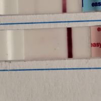 Buscadoras Febrero! - 1