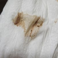 Buscadoras Febrero! - 1