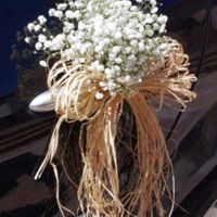 Paniculata - 1