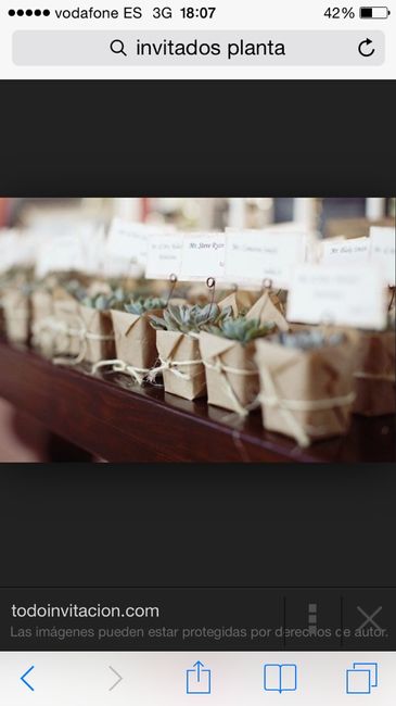 Que os parece regalar plantas como detalles? - 2