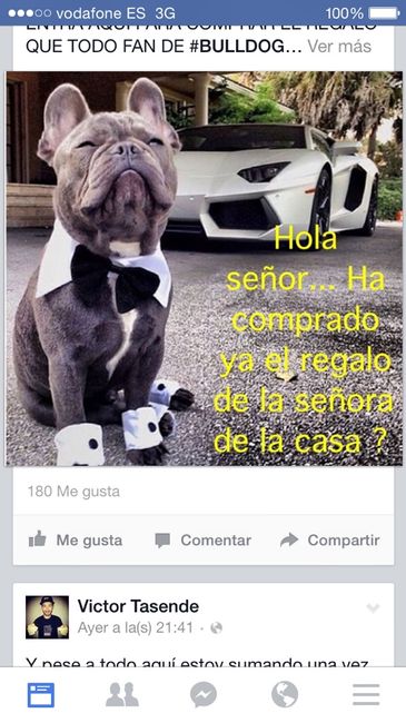 Las mascotas también participan - 2