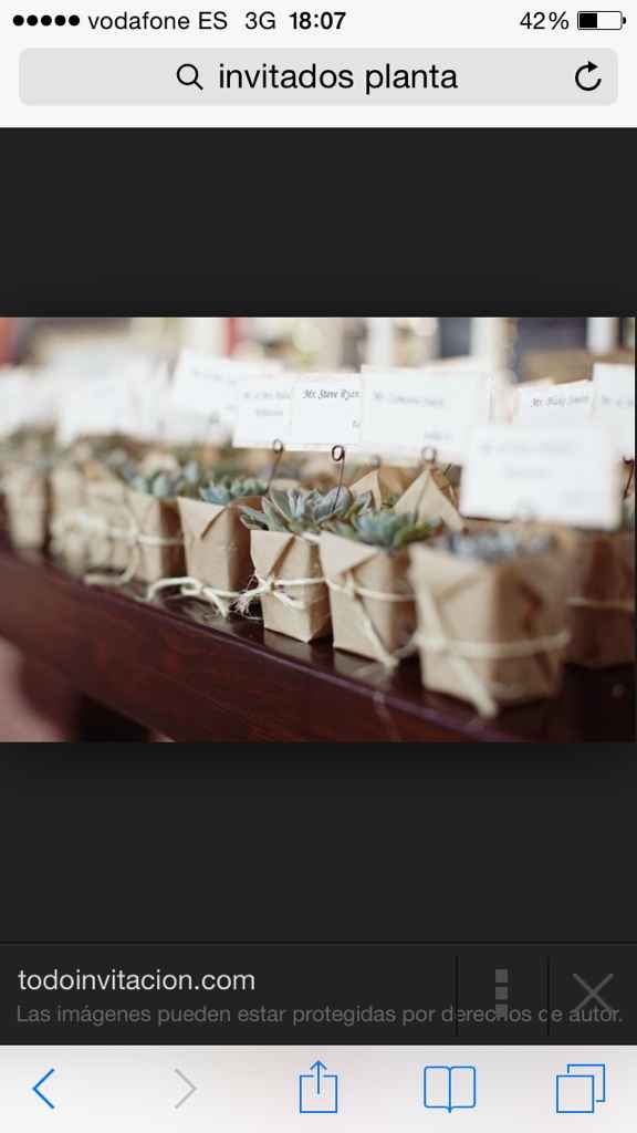 Que os parece regalar plantas como detalles? - 2